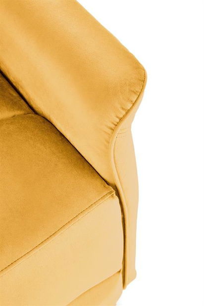 Fotolilu Shane (muștar)