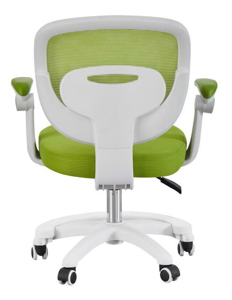 Scaun de birou Trapani 2 (verde + alb)