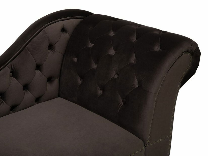 Leňoška Nili (tmavohnedá) (P)