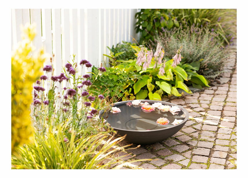 Miska Favenia (tmavosivá)