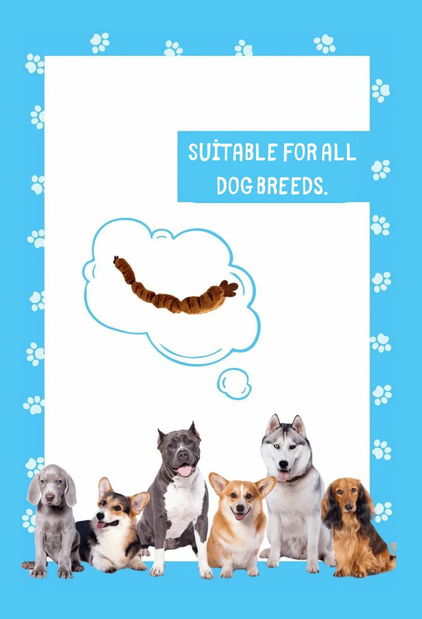 Hračka pre psa Havia (hnedá)