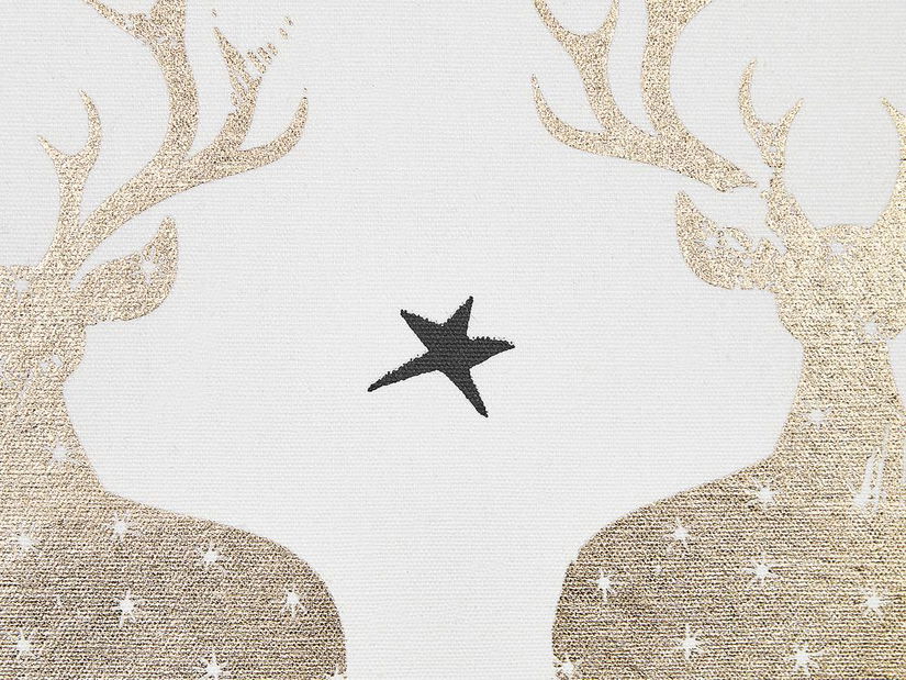 Sada 2 ozdobných vankúšov 45 x 45 cm Donn (biela)