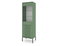 Vitrină Isae 40 (Verde + Negru)