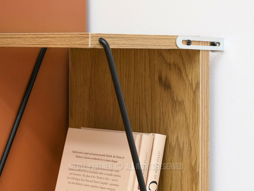 Raft Hunde și (negru)