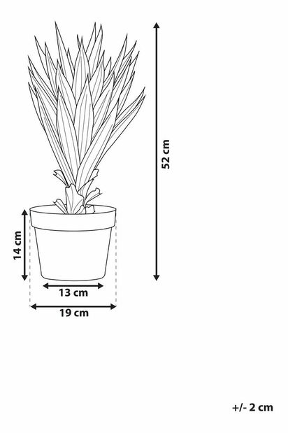 Umelá rastlina 52 cm ALOVA