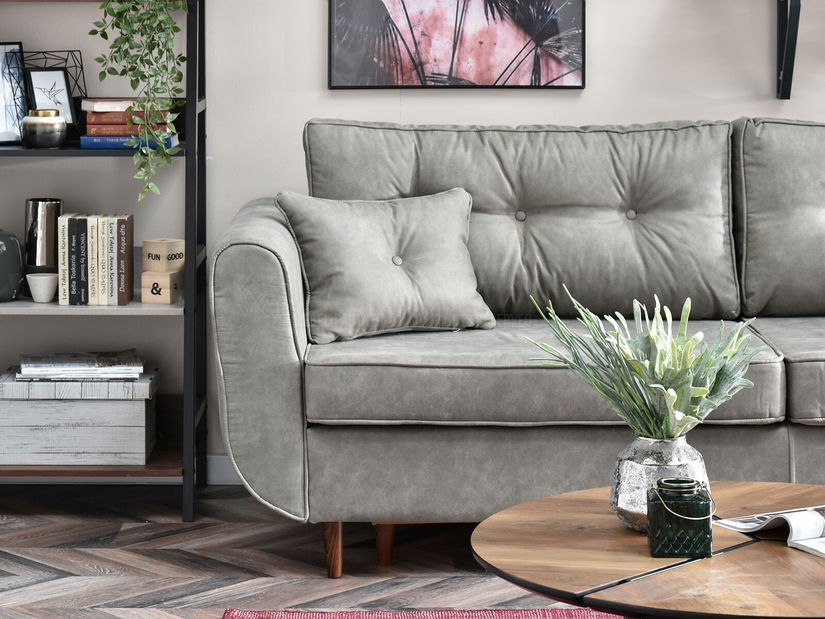 Dvosjed Bacteria (siva + orah)