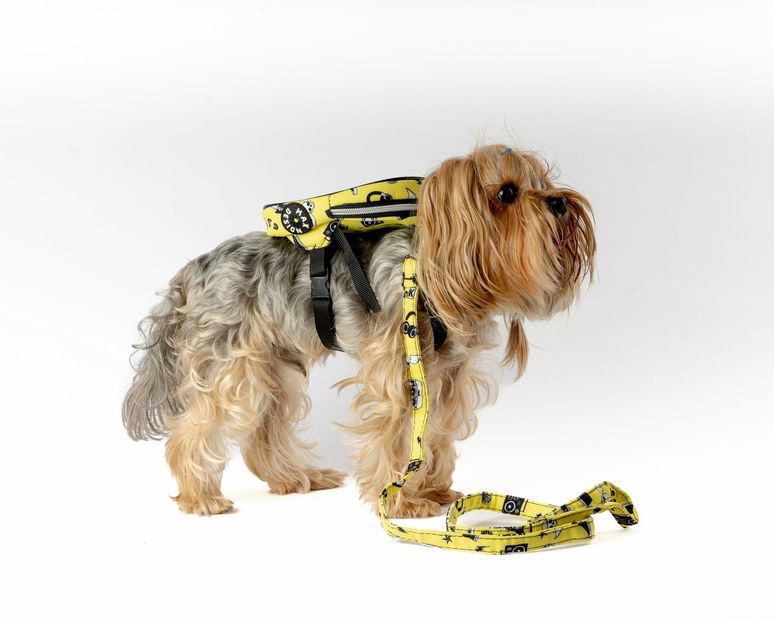 Postroj pre psa Lenny (žltá)