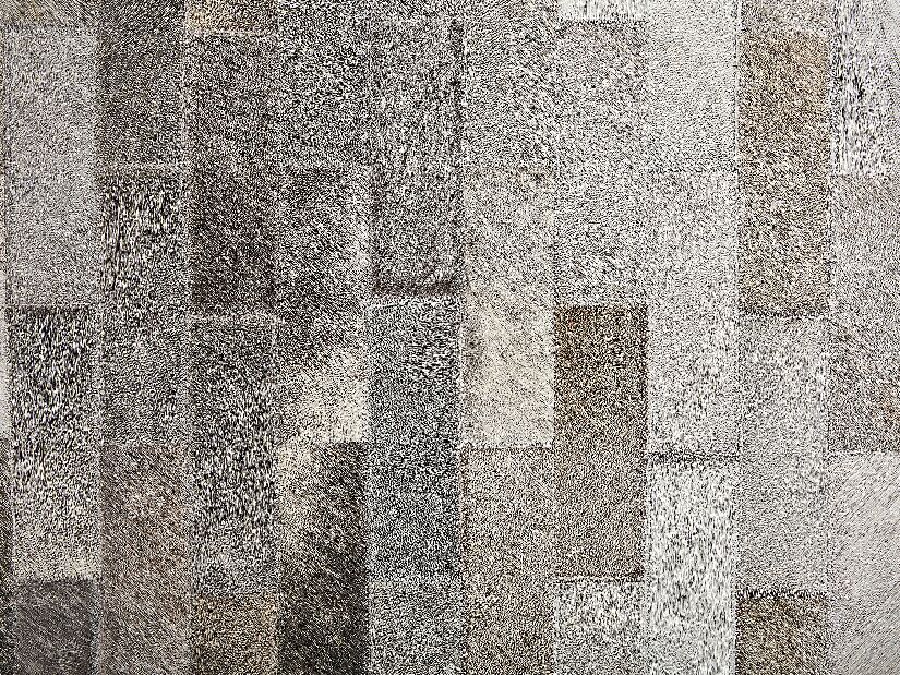 Koberec 160x230 cm DARAL (hnedá + béžová)