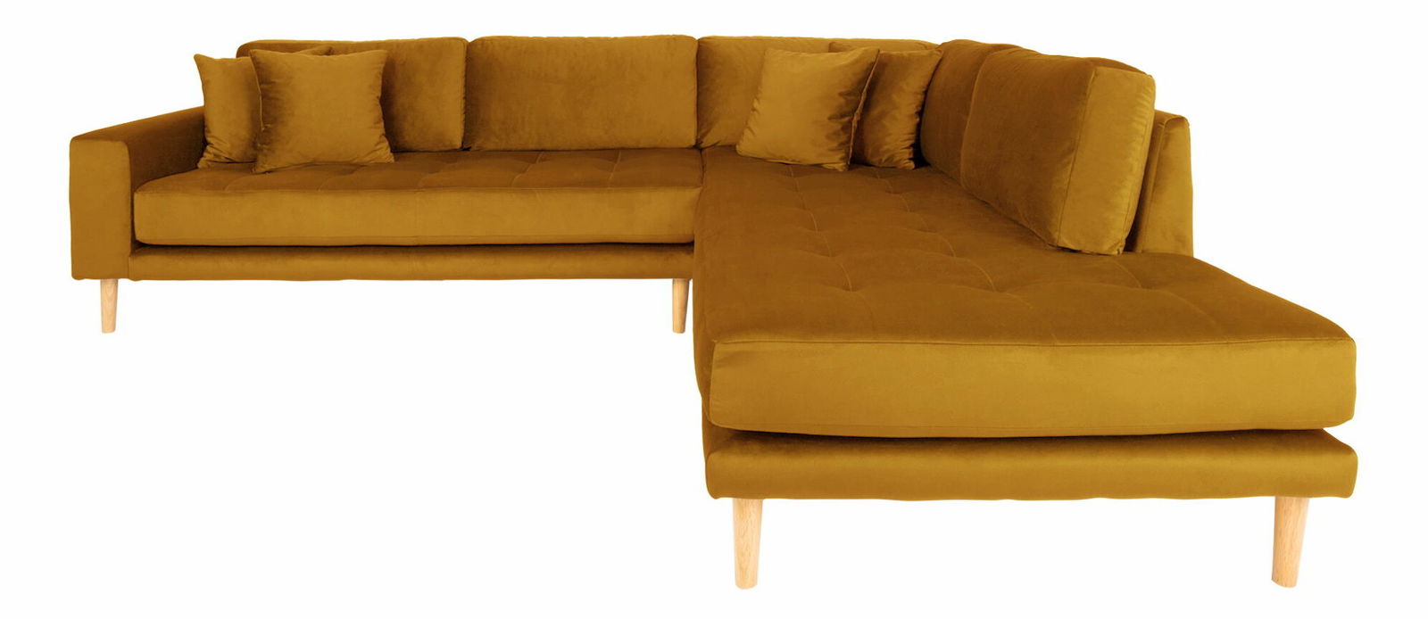 Colțar (D) Lvaveriaora L (muștar)