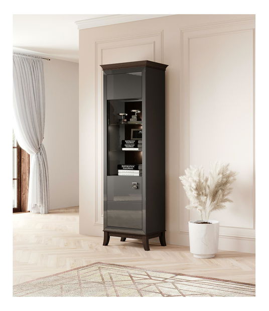 Vitrină Tyrion Typ 05 (antracit lucios + ciocolățiu) (cu iluminat)
