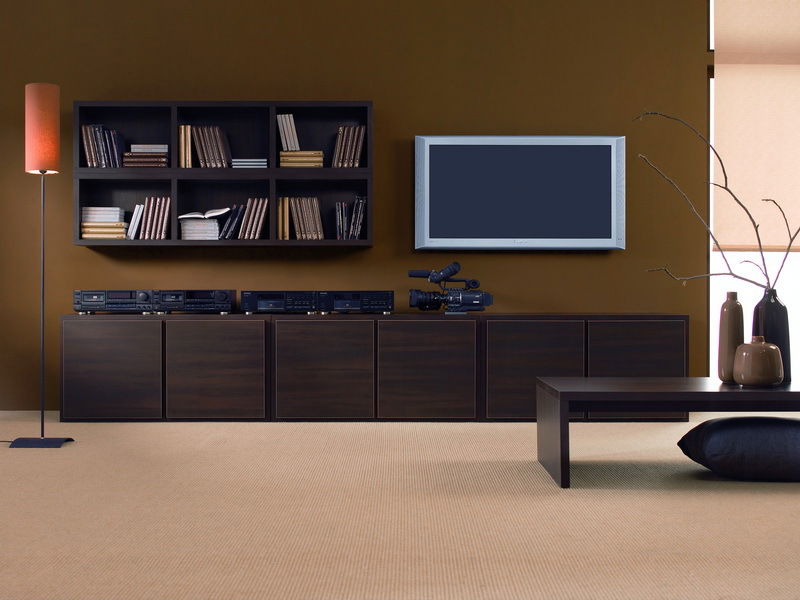 Dvierka BRW DOORS HFD 1616/520 