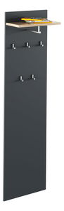 Panel za vješanje odjeće Hamila NEW TYP 19 (grafit + hrast artisan)