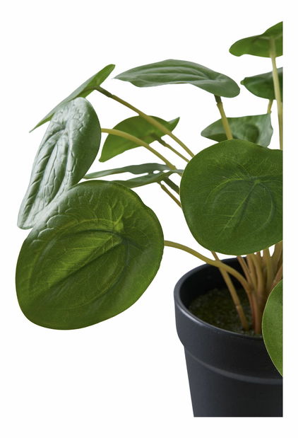 Umelá rastlina Panselia (zelená)