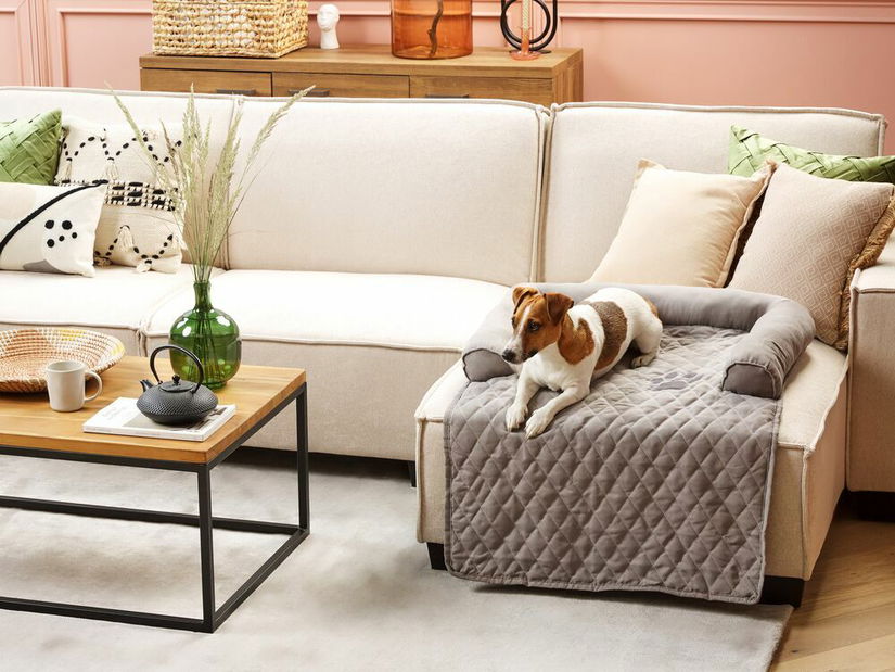 Kutyafekhely Brelyn (világosszürke)