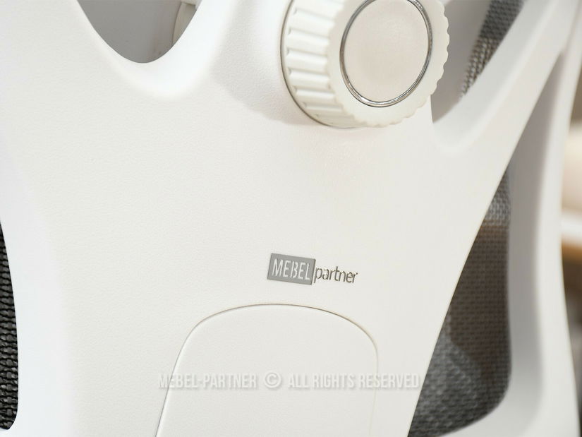 Fotoliu de birou Derenis (gri + alb)