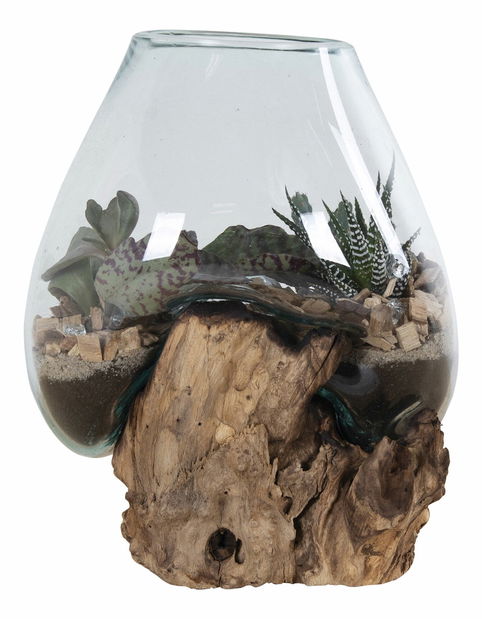 Dekorácia Sorelia 2 (prírodná)