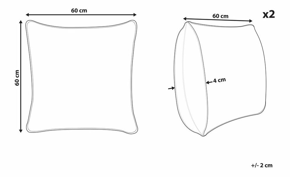 Set 2 buc perne decorative 60 x 60 cm Eusty (roz)