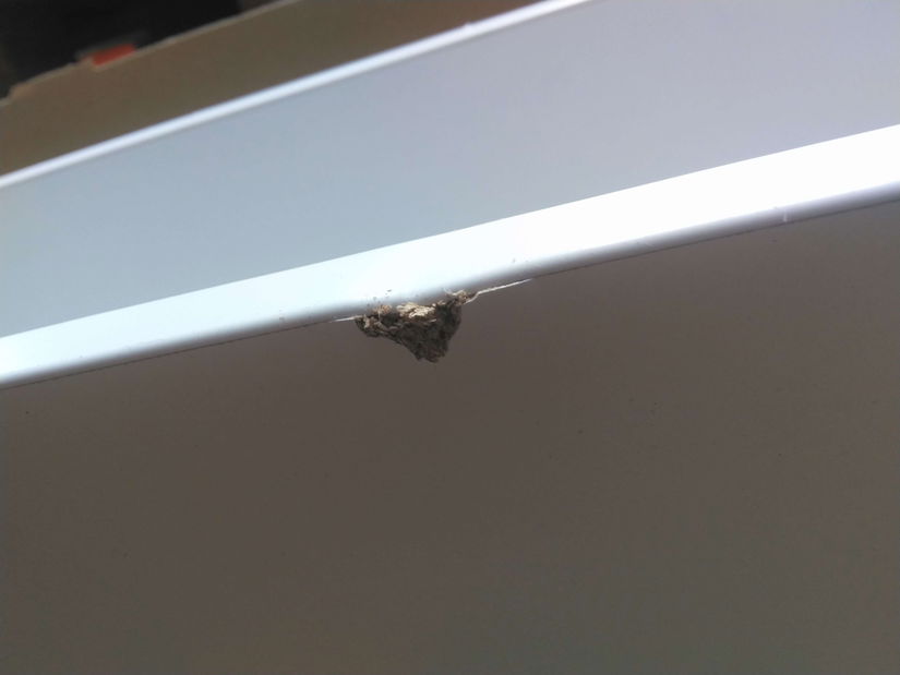 Masă de cafea Zinzit I (acrilic negru + alb) *resigilat