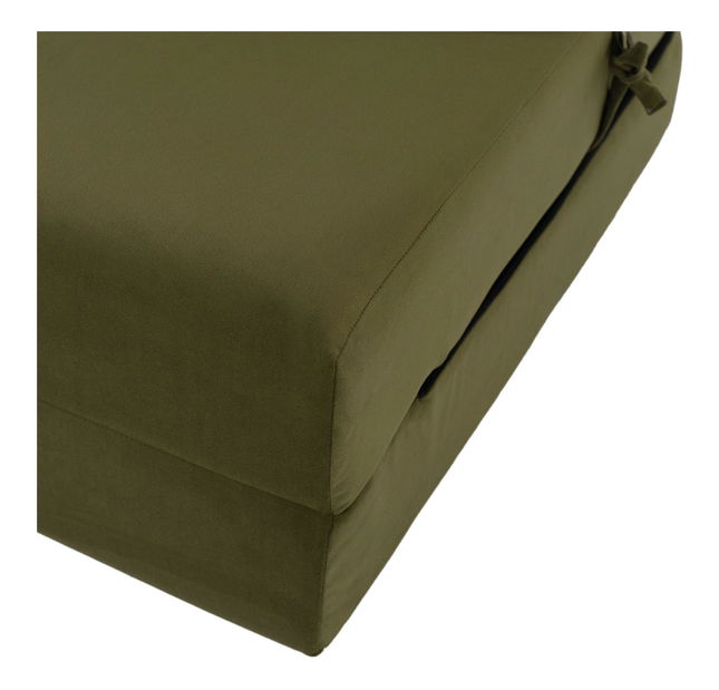 Fotoliu extensibil Plantearan (măslin) 