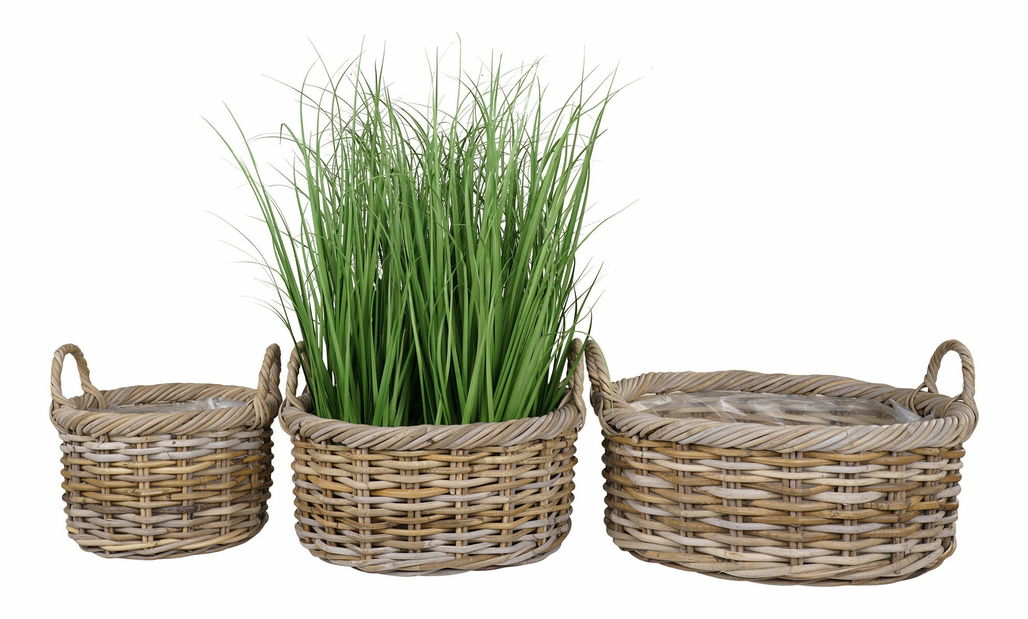 Set košara (3 kom.) Ksamona (smeđa)