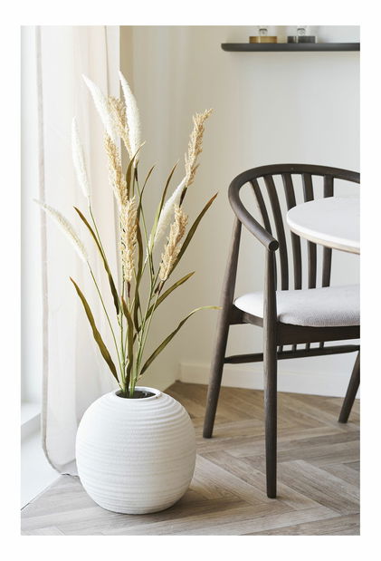 Dekorativna trava Dnaveriaora (bež + pijesak)