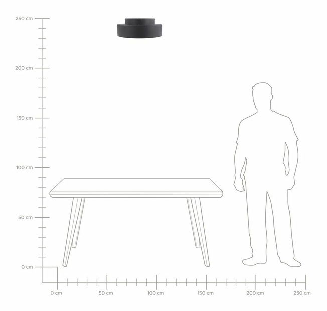 Stropné svietidlo Moeza (čierna)