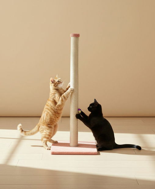 Škrabadlo pre mačky Areo (korálová)