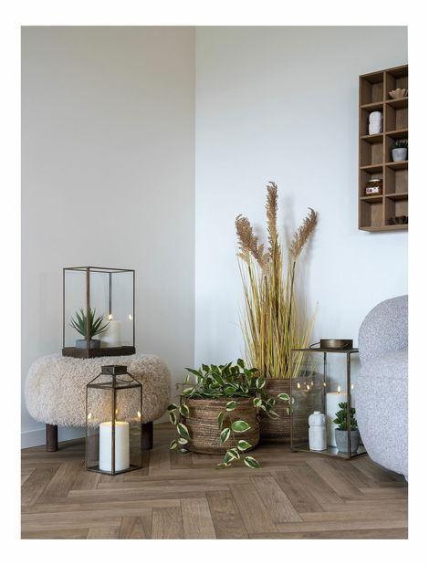 Umelá rastlina Hdoloria (zelená)