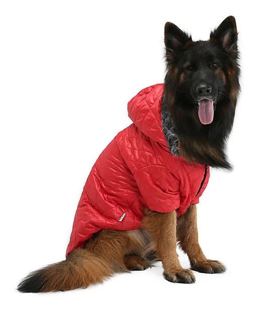 Jakna za psa Reddie (crvena) (8XL)