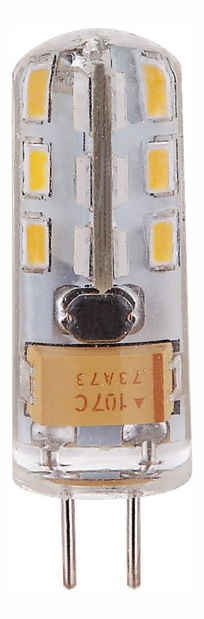 LED žarulja Led bulb 10110 (prozirna)