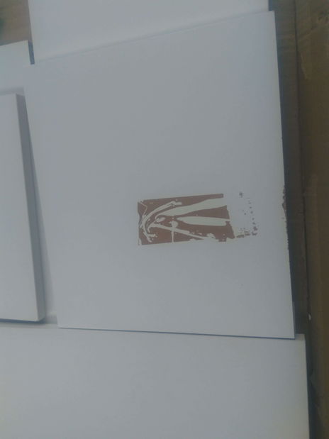 Hol Mila (alb) *resigilat