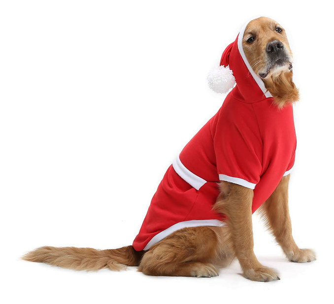 Bunda pre psa Chrissy (červená) (5XL)