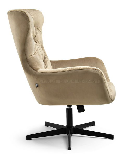 Kreslo Aaron (béžová + čierna)