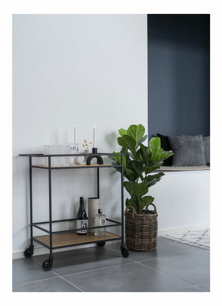 Ručna kolica Vistalia 2 (prirodna)