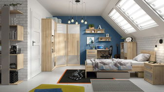 Camera de student Namek II