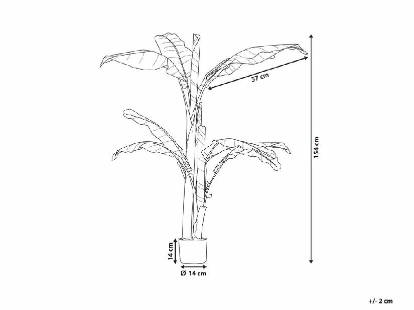 Plantă artificială 154 cm BANNA