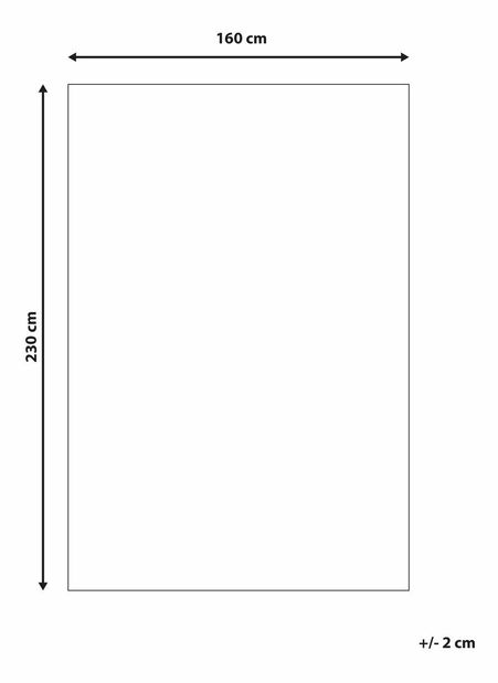 Covor din blană artificială 160 x 230 cm Thae (negru)