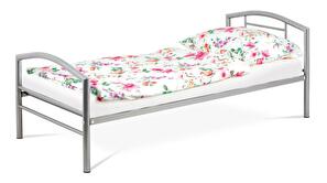 Kovová posteľ 90x200 Brotonetta (lesk sivá)