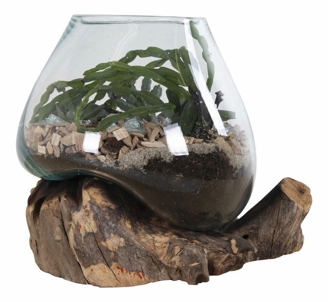 Dekorácia Sorelia 2 (prírodná)