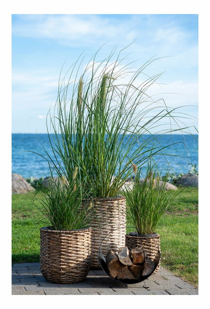 3 db-os fonott virágcserép szett Hanelia (natúr)