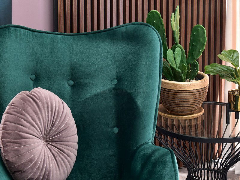 Fotel Sibyla (zöld + fekete)