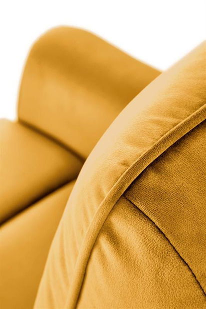 Fotolilu Shane (muștar)