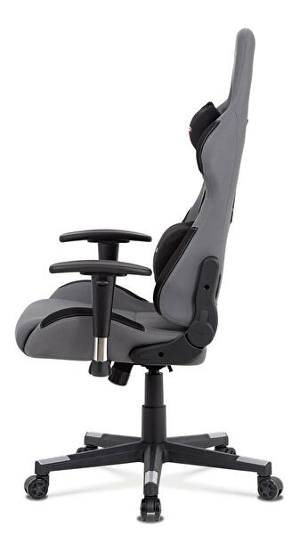 Fotoliu gaming Salidos (gri + negru)