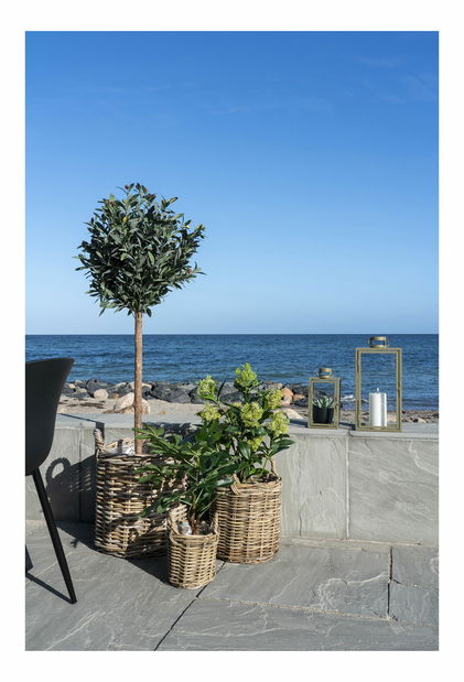 Umelá rastlina Figovník Fidoria (zelená)