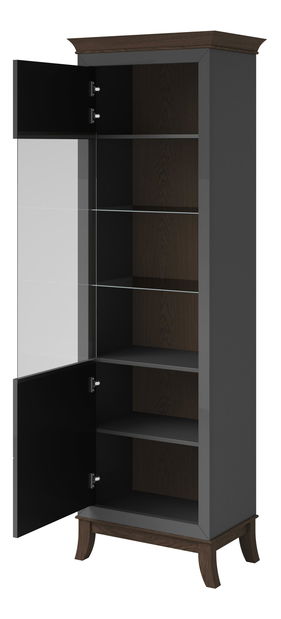 Vitrína Tyrion Typ 05 (antracit lesklý + čokoládová) (s osvetlením)