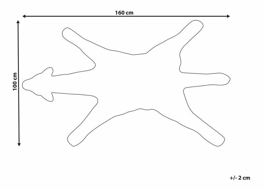 Szőnyeg 160 x 230 cm Musar (többszínű)