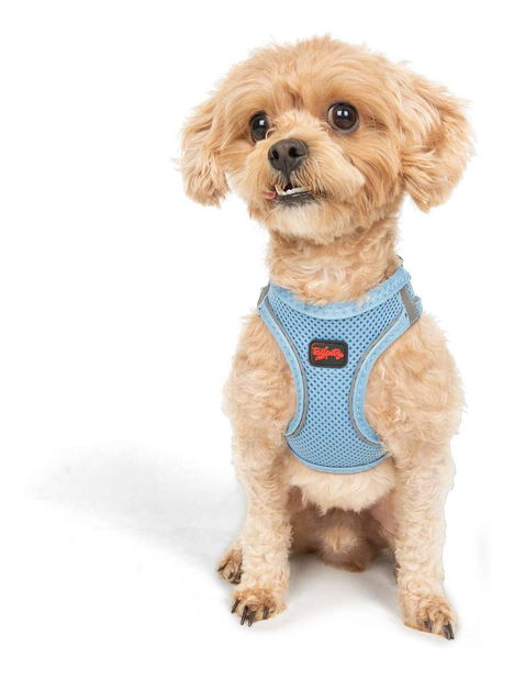 Postroj pre psa Airy (modrá) (XL)