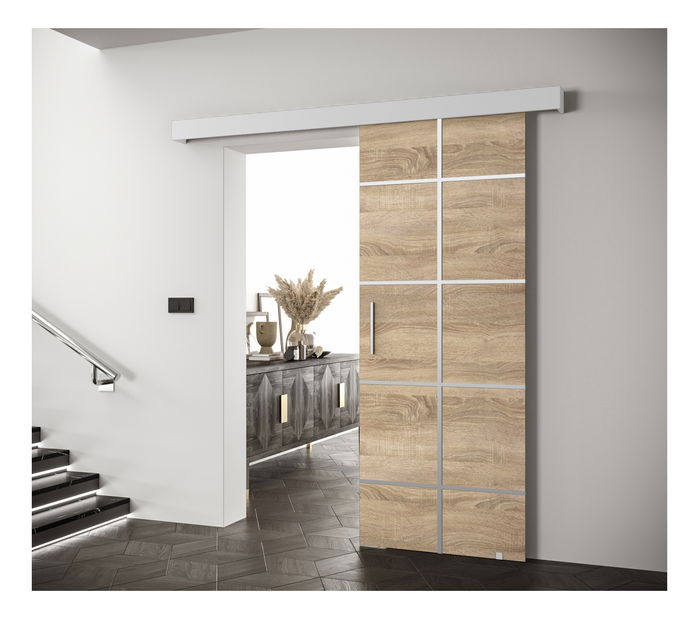 Posuvné dvere 90 cm Sharlene III (dub sonoma + dub sonoma + strieborná)