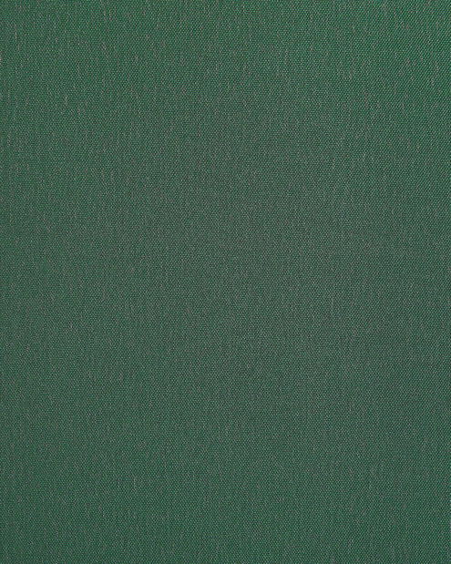 Paraván 270 x 170 cm Naria (zelená)