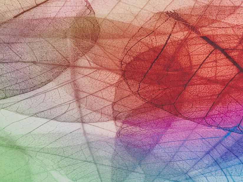 Szőnyeg 150 cm Anila (színes)